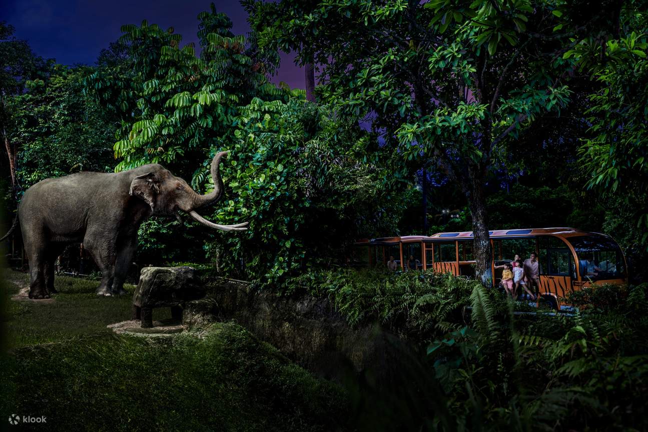 Trải nghiệm Safari về đêm duy nhất trên thế giới